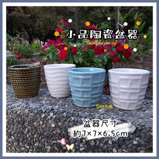 小品植栽盆 陶瓷盆 花盆 花器 園藝 室內綠化 杯型盆器 幾何線條 多肉盆 種子盆栽 小品盆 ❦您好水族❦