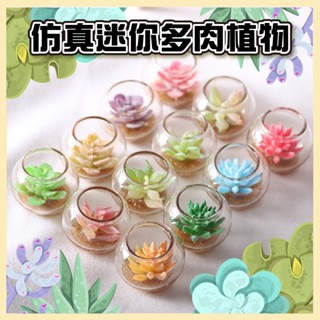 模擬多肉 迷你模擬多肉植物(多肉/睡蓮) 多肉 尖肉 睡蓮 仙人掌 植物 花卉 盆栽 袖珍 食玩 微縮 微景觀 模型