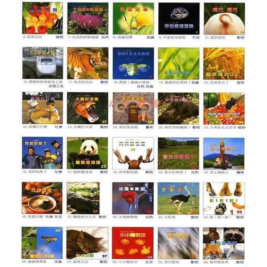 《Big Science大科學兒童自然科學月刊》全套彩色平裝大書６０冊(圓角)＋小書６０冊(中英雙語)
