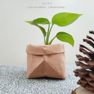 現貨+預購 多功用 水洗牛皮紙 收納袋❤️CAT's貓森❤️防水 冰箱蔬果袋 分類袋 桌面收納 牛皮紙袋 盆栽 零食分類