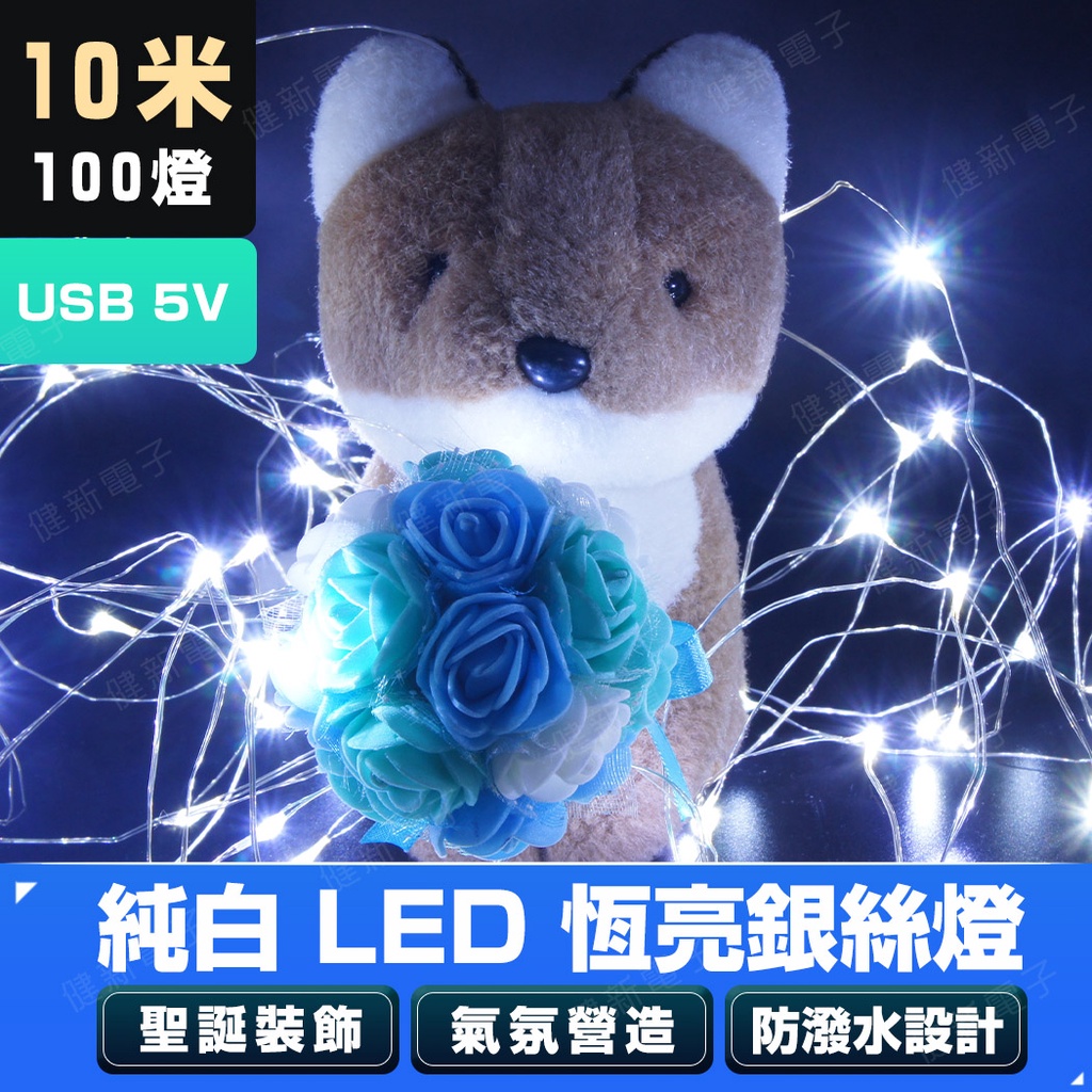 【健新電子】USB 5V 銀絲燈純白光  10米100燈 LED燈條裝飾燈 銅線燈串 銅線燈 聖誕裝飾 #046338