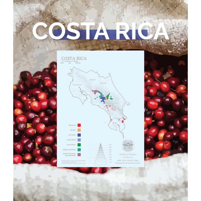 莉普森【咖啡生豆】2022產季■哥斯大黎加 塔拉珠 卡杜拉/卡杜艾 紅蜜處理
