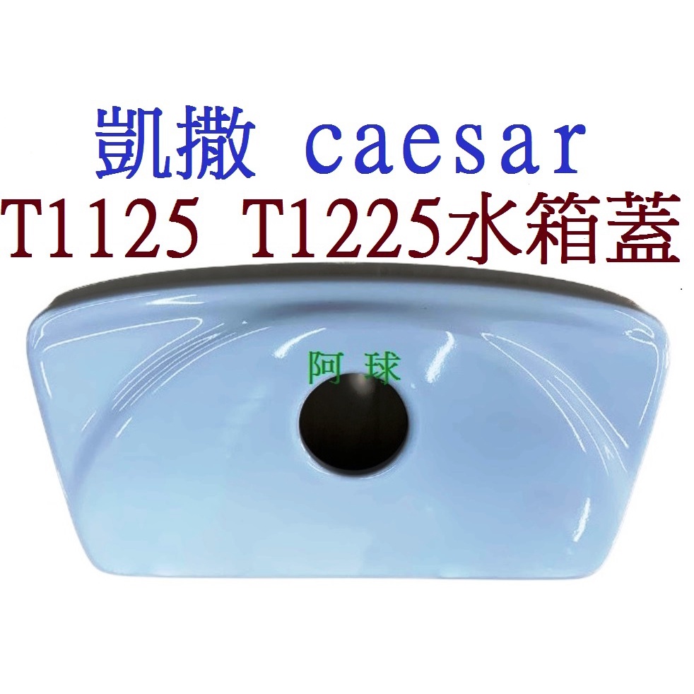 凱撒馬桶水箱蓋 CAESAR T1118水箱蓋 C1325 C1425 T1125-PW T1225 T1126-PI