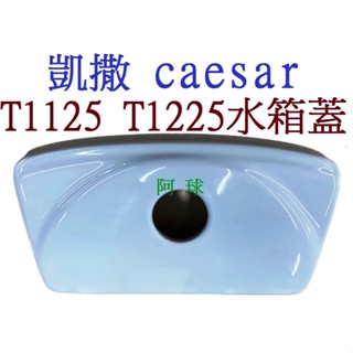 凱撒馬桶水箱蓋 CAESAR T1118水箱蓋 C1325 C1425 T1125-PW T1225 T1126-PI