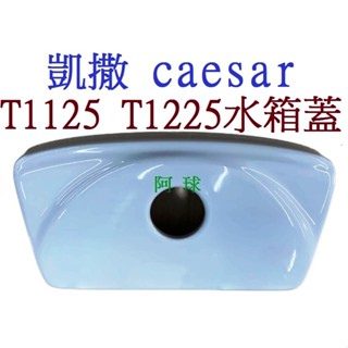 阿球 凱撒原廠 水箱蓋 CAESAR馬桶水箱蓋 CT1325 CT1425 T1125-PW水箱 T1225-PW