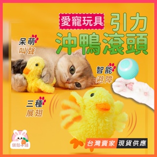 台灣現貨🔥玩具 耐咬玩具 貓薄荷 叫叫球 逗貓玩具 寵物玩具 引力叫叫球 貓玩具 貓咪玩具 玩具球 寵物發聲玩具 鴨抖音