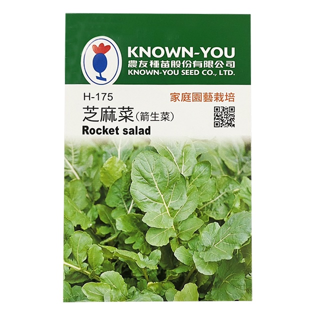 【全館590免運】芝麻菜(箭生菜)種子~Rocket salad 約300粒  香草植物  料理植物  香料葉