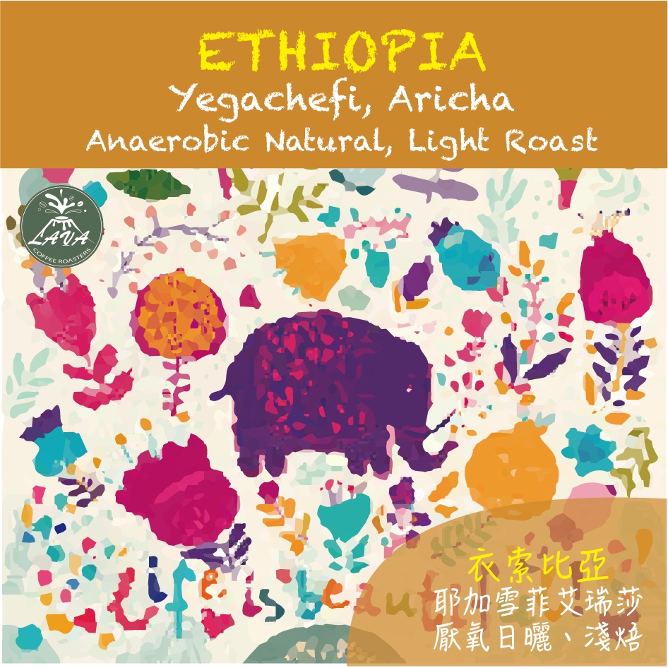 LAVA COFFEE | 🇪🇹衣索匹亞 耶加雪菲 艾瑞莎｜厭氧日曬｜淺焙｜咖啡豆 ETHIOPIA
