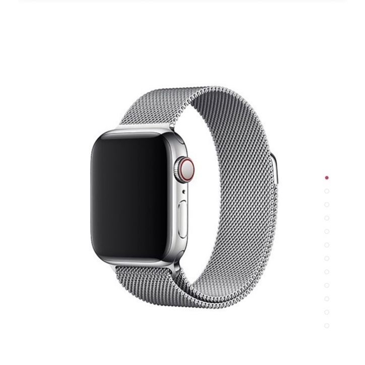 Apple Watch  S5 LTE 44/不鏽鋼/不鏽鋼米蘭錶環