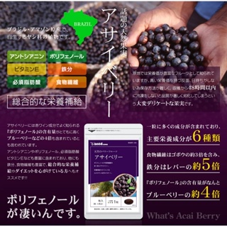 日本製 巴西莓 長命草 褐藻醣膠 小球藻 野草酵素 限量特價 日本代購 乳酸菌 酵素 乳酸菌 益生菌 母親節禮物