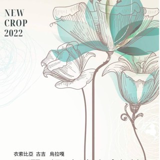 咖啡熟豆 古吉 烏拉嘎 提波波卡處理廠 G1 日曬 水仙 衣索比亞 波雷克堤咖啡 每單限重4公斤