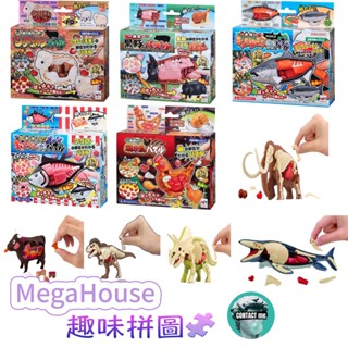 [TFD] 日本 MegaHouse 趣味拼圖 買一隻系列 解剖 科學解析 立體拼圖 兒童玩具 教學玩具