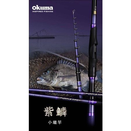 免運費 臨海釣具 二館 24H營業/OKUMA 紫鱗 ZOOM 小繼竿 小磯竿 船磯竿 全斜口珠/商品請參考照片