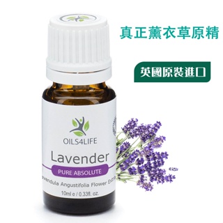 【OILS4LIFE精油】Lavender Absolute 真正薰衣草天然芳療原精10ml英國與歐洲芳香療法指定油