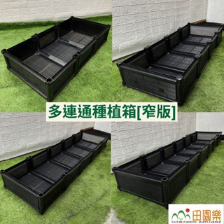 育材種植箱 多規格單層 連通種植箱 連通箱 多特規尺寸 種菜箱 組合式種植箱 陽臺種菜 種菜神器