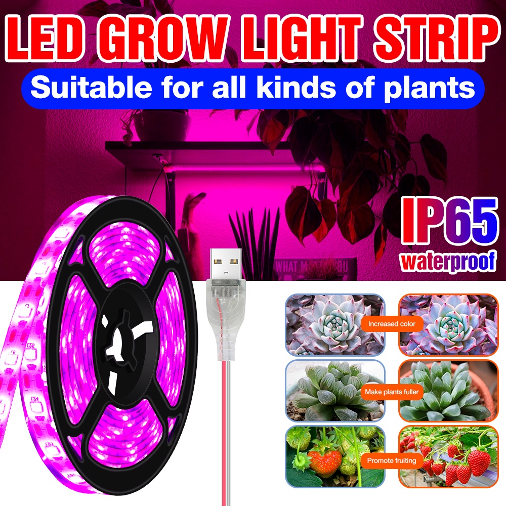 LED植物燈條USB全光譜植物燈帶5V溫室生長水培照明室內種子花卉種植