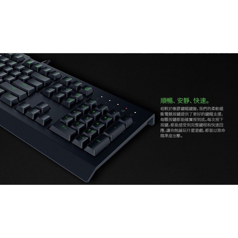 【RAZER 雷蛇】 CYNOSA LITE 薩諾  狼蛛 電競鍵盤 中文版 RGB 防潑水