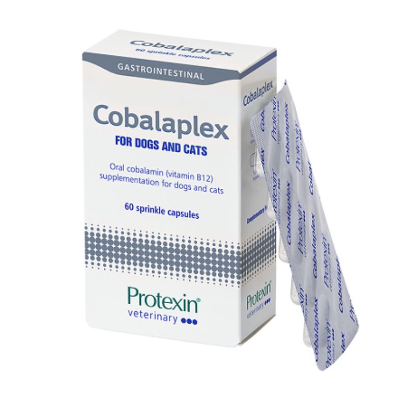 Protexin Cobalaplex 可萊適貓狗維生素B12 葉酸益生素35顆