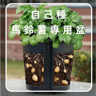 極簡舍・馬鈴薯種植盆／馬鈴薯專用盆 花生種植盆 地瓜種植盆 山藥種植盆 生薑種植盆 花盆 種植盆 種植袋