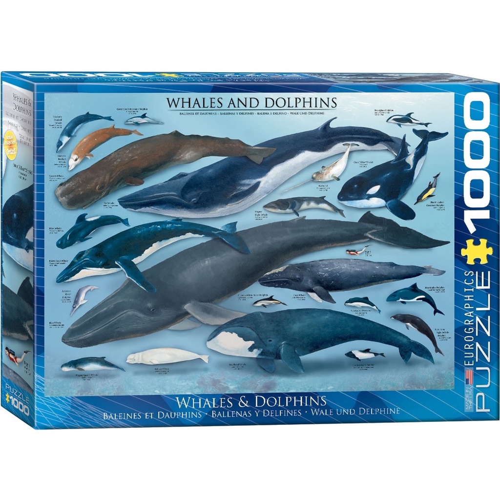【 現貨免運】【 只有一個】鯨魚與海豚拼圖1000片 Whales &amp; Dolphins Puzzle 1000