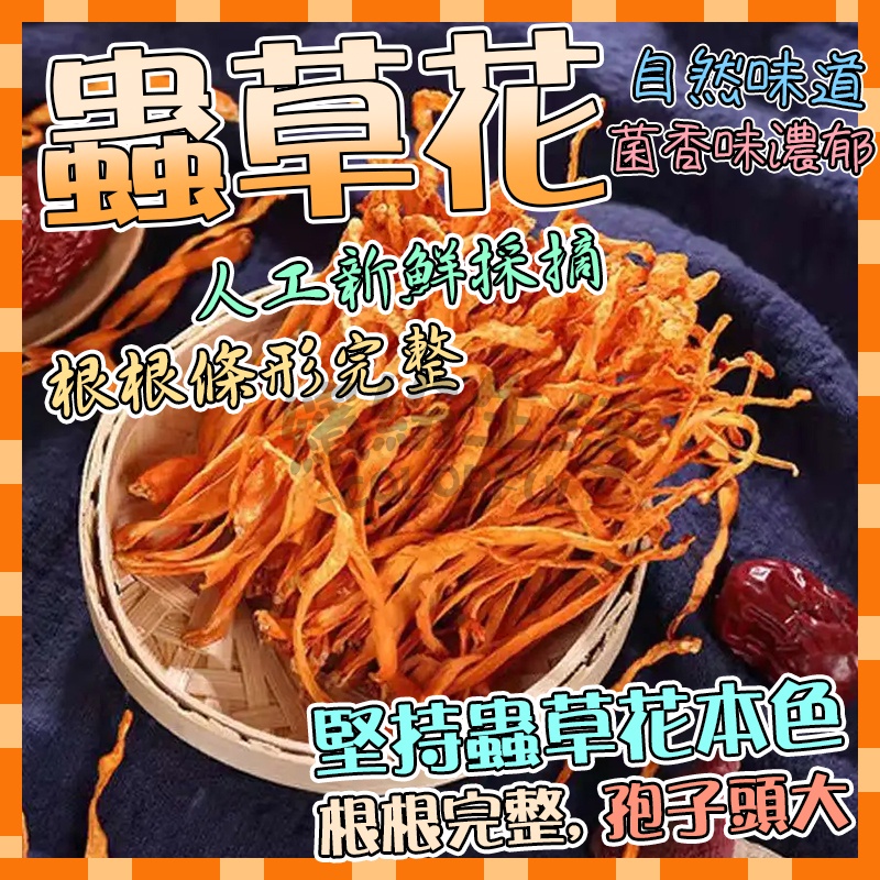 黃金蟲草、蟲草花 無硫磺安心食用！燉湯神品 蟲草花乾貨批發 煲湯