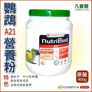 （2026，03，02）A21 營養素 800g│凡賽爾│鸚鵡奶粉