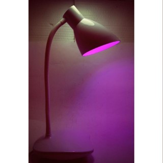 (24小時出貨）LED植物燈全光譜LED18W超亮植物投射燈 植物補光燈 植物生長燈 多肉植物補光 檯燈 附燈泡