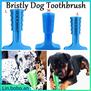 bristly dog toothbrush pets oral care tool