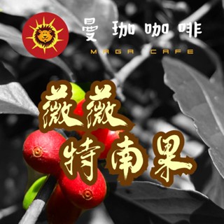 【曼珈咖啡】瓜地馬拉 微微特南果 SHB 生豆 1公斤/500g 咖啡 生豆