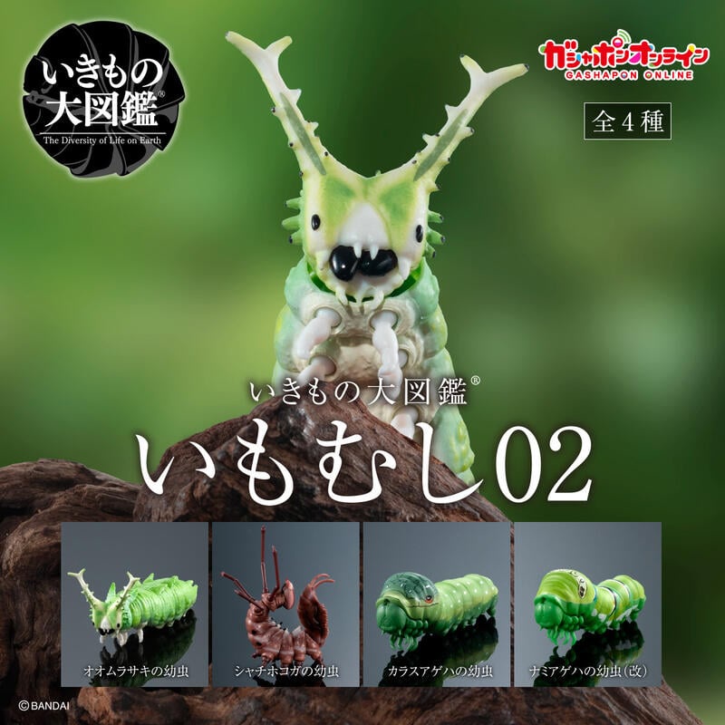 ❖貓大爺玩具❖現貨 BANDAI 生物大圖鑑-芋蟲篇02 p2 毛毛蟲 扭蛋 轉蛋 全4款 芋蟲 毛蟲