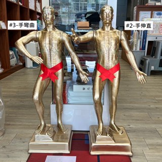 【志遠】✨臺灣製現貨✨ 針灸銅人模型(中) 90cm 玻璃纖維 經外奇穴銅人 針灸經穴模型 經穴銅人 人體穴位 中醫經絡