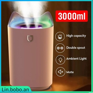 3L Air Humidifier Essential Oil Aroma Diffuser Dual Nozzle C
