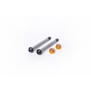 尼克模型 Koswork KYOSHO 後外硬化擺臂插銷 (2) (FOR 3X30MM) KOS04344