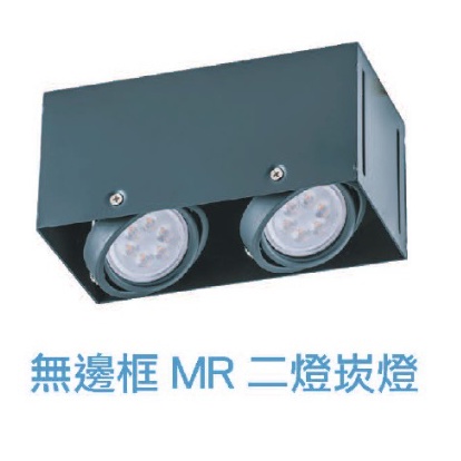 小鵬~舞光 LED MR16 四角崁燈 含稅 二燈 無邊框 盒燈 雙燈 三燈 空台 黑框 不含光源 另有單燈