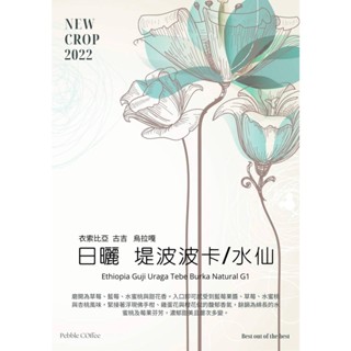咖啡生豆 古吉 烏拉嘎 提波波卡處理廠 G1 日曬 水仙 衣索比亞 波雷克堤咖啡 每單限重4公斤