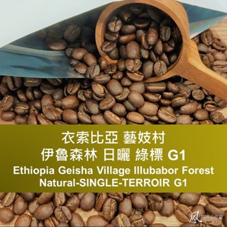 [風咖啡工作室]衣索比亞 藝妓村 伊魯森林 綠標 日曬 G1 新產季 莊園精品咖啡豆 手沖單品 半磅裝