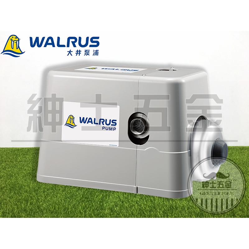 【紳士五金】馬達專用蓋 大井泵浦WALRUS  HQ800  遮雨罩 馬達蓋