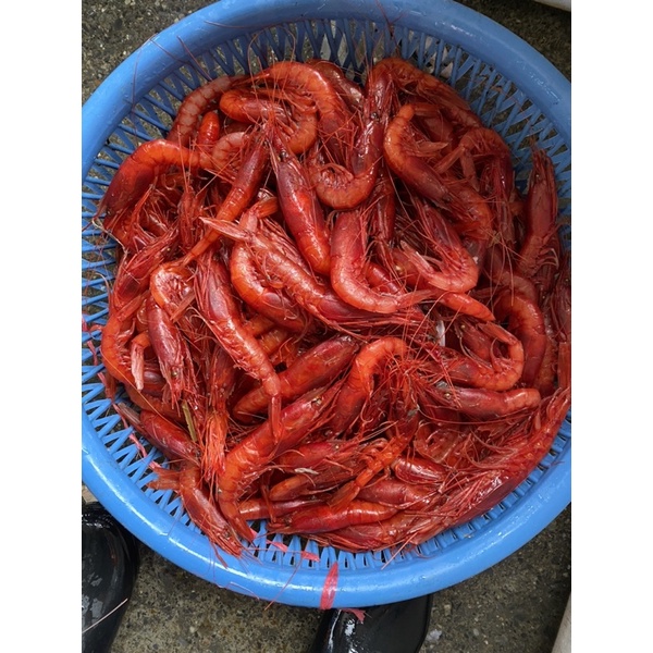 宜蘭媳海鮮水產-胭脂蝦