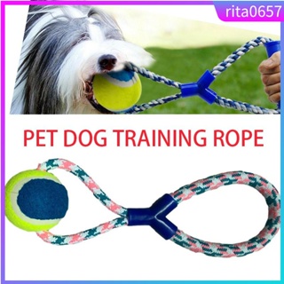 Pet dog training products dog cat play rope tennis ball toys