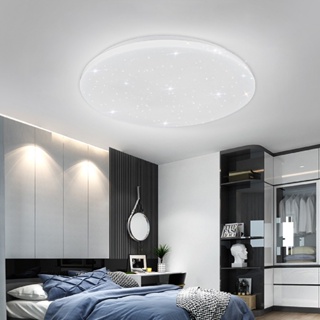 (長亮照明) LED 吸頂燈 單色溫型 北歐星空款15W 24W 30W 40W 60W 80W 適用 室內大小房間使用
