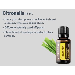 多特瑞香茅精油 Citronella 15ML 2027/3 少數國家才有出 香茅醛和香葉醇
