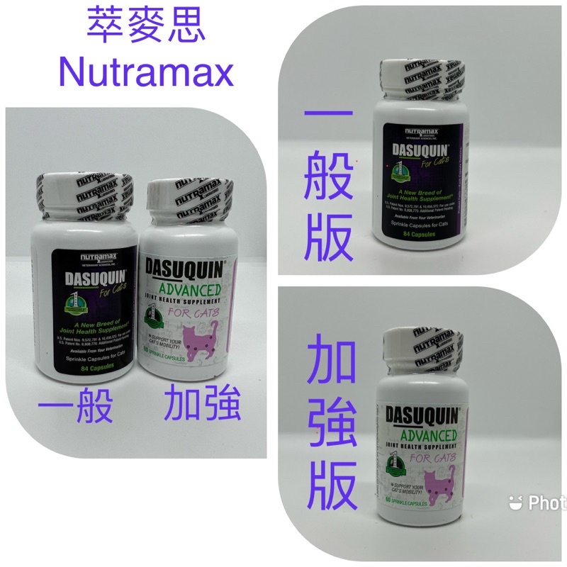 台灣公司貨～萃麥思《NUTRAMAX 》Dasuquin 貓用關節膠囊～加強版/進階版