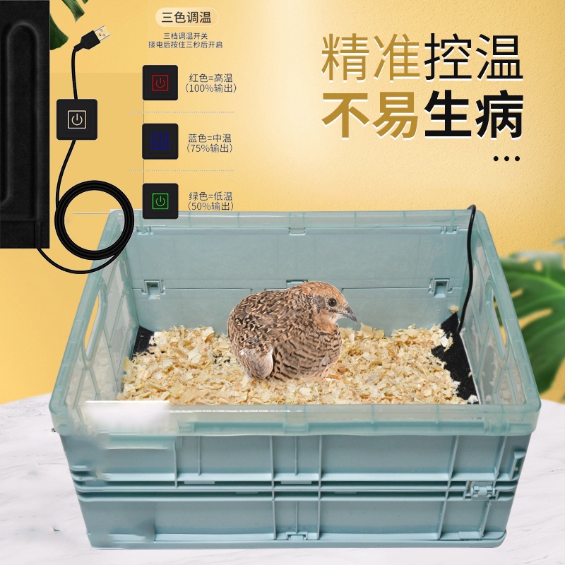 寵多多 鸚鵡保溫箱雛鳥幼鳥孵化手養鳥保溫箱保暖箱小型恆溫迷你育雛用品
