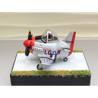 捍衛戰士獨行俠 P-51 蛋機模型 阿湯哥 私人飛機