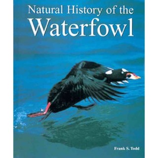 Natural History of the Waterfowl – 1997精裝台灣銅版華麗書亞馬遜上大約5000到手