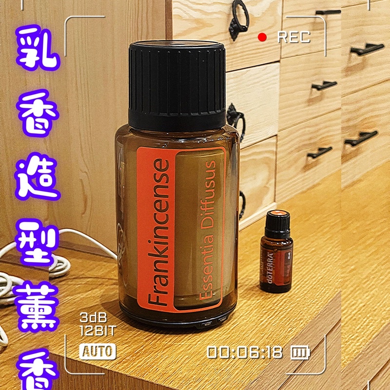 現貨  #多特瑞#乳香造型#薰香機（英文版）