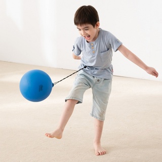 Weplay 迴旋球 3Y+ 球與設備 幼兒園教具 教具 兒童玩具 學習教具 球
