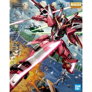 (BANDAI) 組裝模型 MG 1/100 機動戰士鋼彈SEED 無限正義鋼彈 公司貨(模力虹)