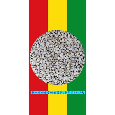 NEW 衣索匹亞/耶加雪菲G1/金雷娜處理廠/日曬/精品咖啡生豆2022