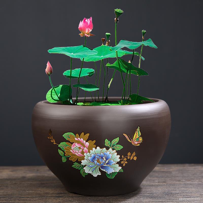 特大荷花缸 • 金魚缸 O1CN01zDMIW31JeJlPXLrcr_!!